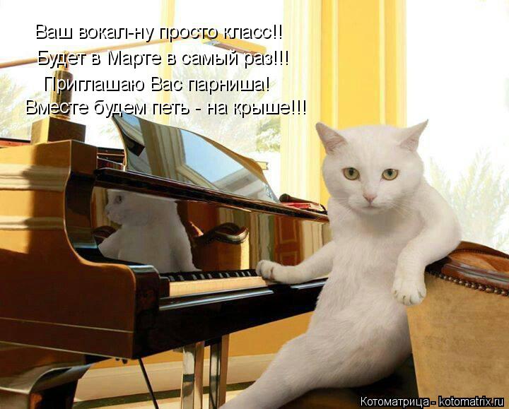 Ваш вокал-ну просто класс!! Будет в Марте в самый раз!!! Приглашаю Вас парниша! Вместе будем петь - н... Котоматрица: Ваш вокал-ну просто класс!! Будет в Марте в самый раз!!! Приглашаю Вас парниша! Вместе будем петь - на крыше!!!