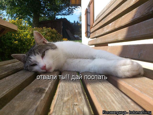 Котоматрица: отвали ты!! дай поспать
