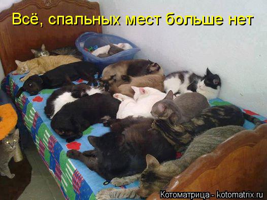 Всё, спальных мест больше нет... Котоматрица: Всё, спальных мест больше нет