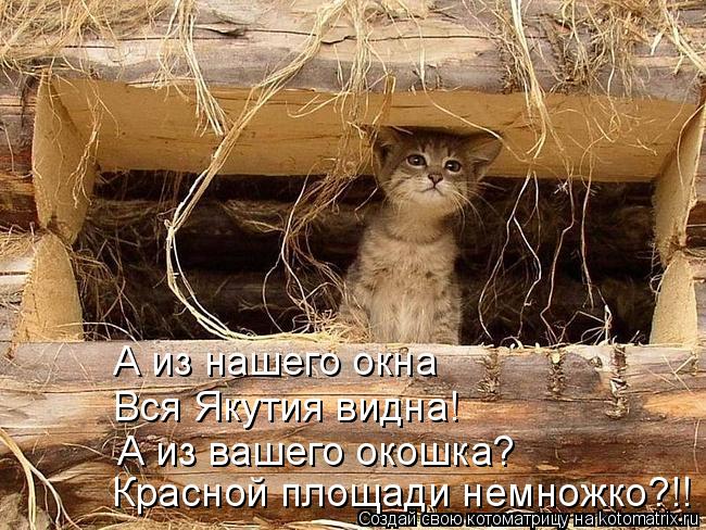 Котоматрица: А из нашего окна  Вся Якутия видна! А из вашего окошка? Красной площади немножко?!!