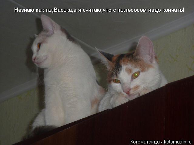 Незнаю как ты,Васька,а я считаю,что с пылесосом надо кончать!... Котоматрица: Незнаю как ты,Васька,а я считаю,что с пылесосом надо кончать!