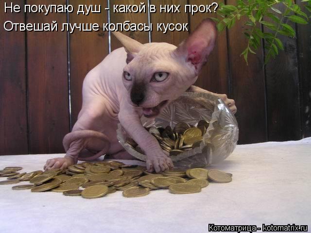 Котоматрица: Не покупаю душ - какой в них прок? Отвешай лучше колбасы кусок
