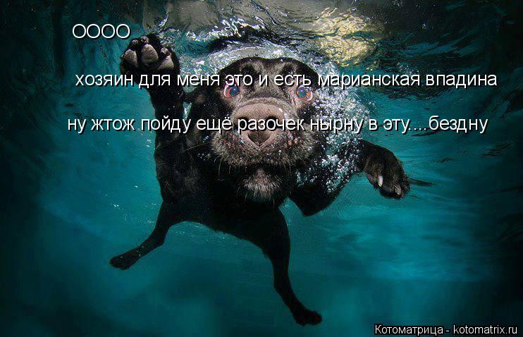 Котоматрица: ОООО хозяин для меня это и есть марианская впадина ну жтож пойду ещё разочек нырну в эту....бездну