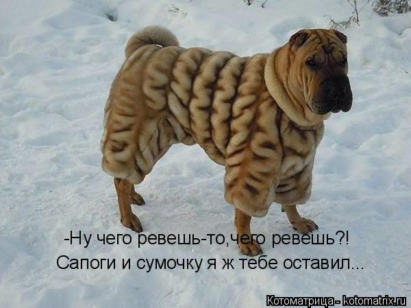 -Ну чего ревешь-то,чего ревешь?! Сапоги и сумочку я ж тебе оставил...... Котоматрица: -Ну чего ревешь-то,чего ревешь?! Сапоги и сумочку я ж тебе оставил...