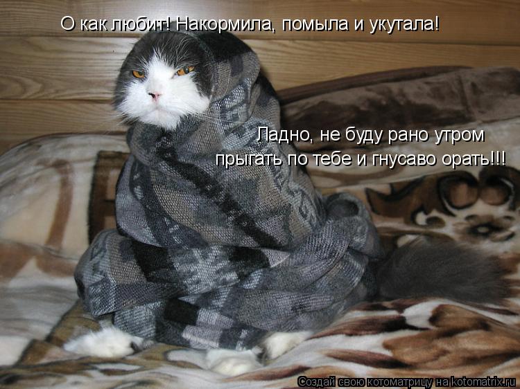 Котоматрица: прыгать по тебе и гнусаво орать!!! Ладно, не буду рано утром  О как любит! Накормила, помыла и укутала!