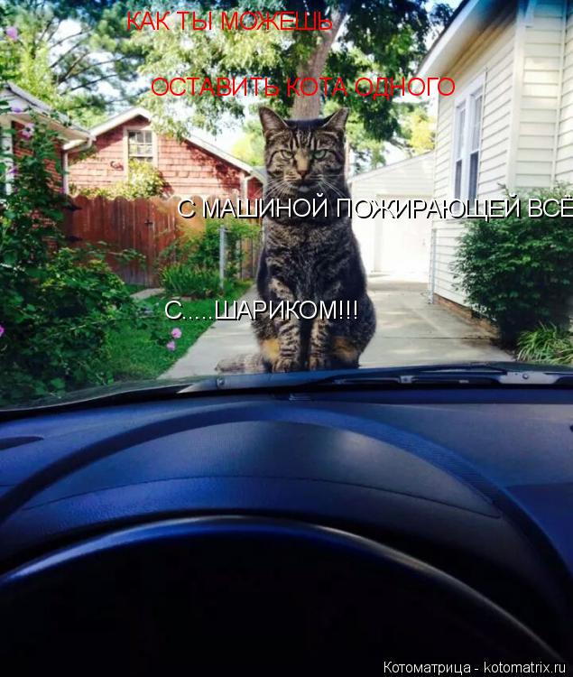 Котоматрица: КАК ТЫ МОЖЕШЬ  ОСТАВИТЬ КОТА ОДНОГО С МАШИНОЙ ПОЖИРАЮЩЕЙ ВСЁ.... С.....ШАРИКОМ!!!