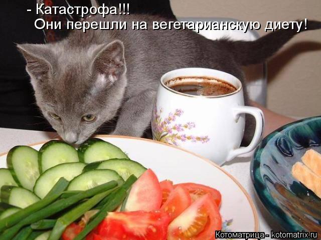 Котоматрица: - Катастрофа!!! Они перешли на вегетарианскую диету!