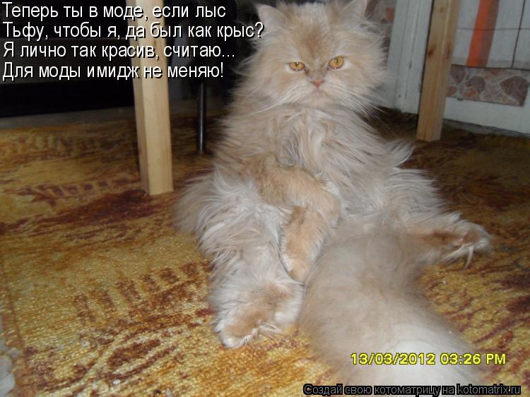 Теперь ты в моде, если лыс Тьфу, чтобы я, да был как крыс? Я лично так красив, считаю... Для моды ими... Котоматрица: Теперь ты в моде, если лыс Тьфу, чтобы я, да был как крыс? Я лично так красив, считаю... Для моды имидж не меняю!