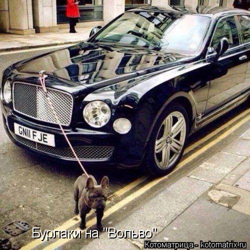 Котоматрица: Бурлаки на "Вольво"