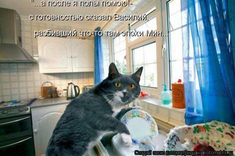 Котоматрица: "...а после я полы помою!- разбивший что-то там эпохи Мин... с готовностью сказал Василий,