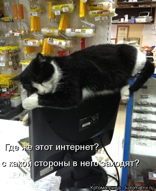 Котоматрица: Где же этот интернет? с какой стороны в него заходят?