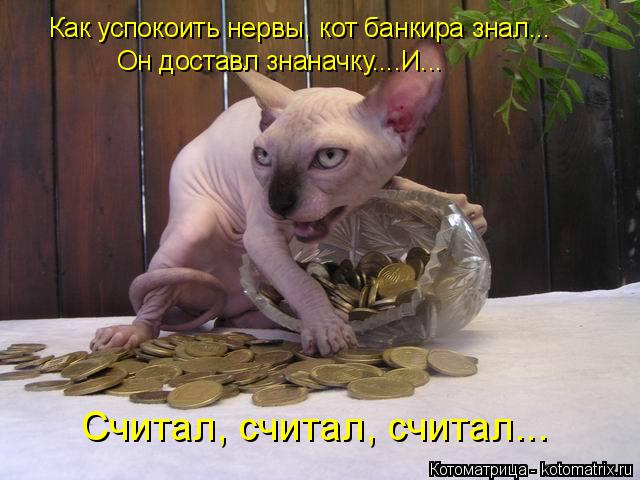 Котоматрица: Как успокоить нервы, кот банкира знал... Он доставл знаначку....И... Считал, считал, считал...
