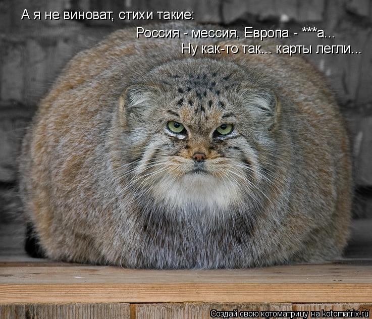 Котоматрица: А я не виноват, стихи такие:  Россия - мессия, Европа - ***а... Ну как-то так... карты легли...