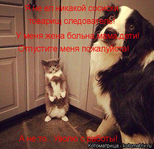 Я не ел никакой сосиски товарищ следователь! У меня жена больна,мама,дети! Отпустите меня пожалуйста!... Котоматрица: Я не ел никакой сосиски товарищ следователь! У меня жена больна,мама,дети! Отпустите меня пожалуйста! А не то.. Уволю с работы!
