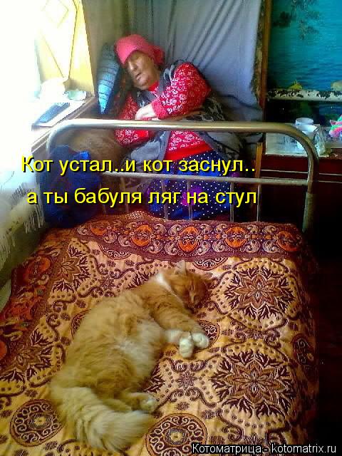 Кот устал..и кот заснул.. а ты бабуля ляг на стул... Котоматрица: Кот устал..и кот заснул.. а ты бабуля ляг на стул