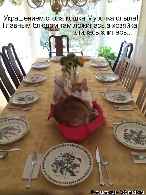 Котоматрица: Украшением стола кошка Мурочка слыла! Главным блюдом там ложилась,а хозяйка  злилась,злилась...
