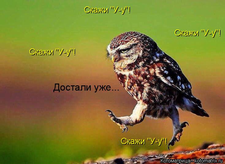 Скажи "У-у"! Скажи "У-у"! Скажи "У-у"! Скажи "У-у"! Достали уже...... Котоматрица: Скажи "У-у"! Скажи "У-у"! Скажи "У-у"! Скажи "У-у"! Достали уже...