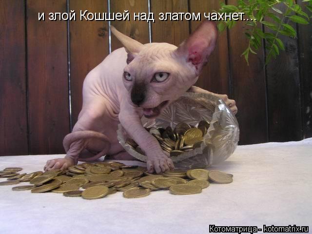 Котоматрица: и злой Кошшей над златом чахнет....