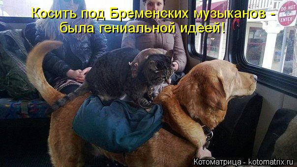 Косить под Бременских музыканов - была гениальной идеей!... Котоматрица: Косить под Бременских музыканов - была гениальной идеей!