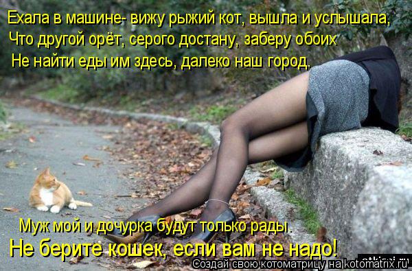 Котоматрица: Ехала в машине- вижу рыжий кот, вышла и услышала, Что другой орёт, серого достану, заберу обоих Не найти еды им здесь, далеко наш город. Муж мо