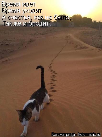 Котоматрица: Время идет, Время уходит, А счастья, как не было, Так же и бродит..