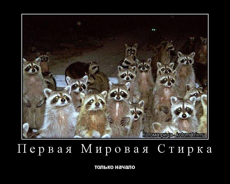 Котоматрица: Первая Мировая Стирка только начало