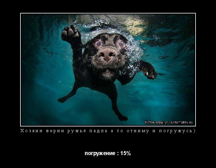 Котоматрица: Хозяин верни ружьё падла а то отниму и погружусь)  погружение : 15%