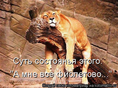 Котоматрица: "А мне все фиолетово.. "А мне все фиолетово..." Смысл состоянья этого: Суть состоянья этого: