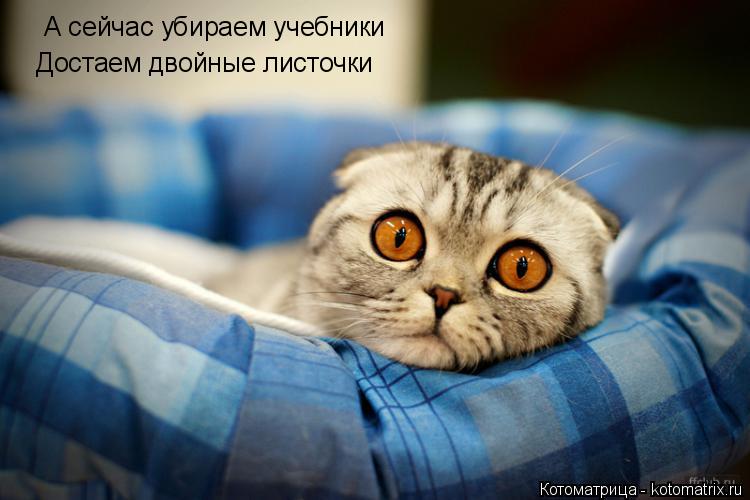 А сейчас убираем учебники Достаем двойные листочки... Котоматрица: А сейчас убираем учебники Достаем двойные листочки