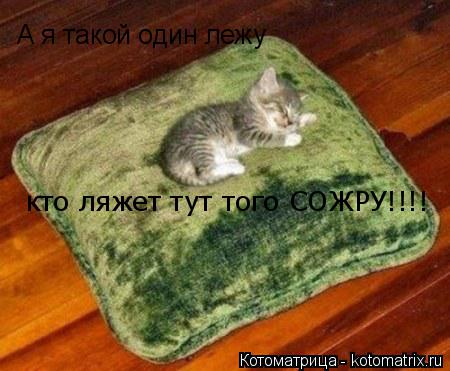 А я такой один лежу кто ляжет тут того СОЖРУ!!!!... Котоматрица: А я такой один лежу кто ляжет тут того СОЖРУ!!!!