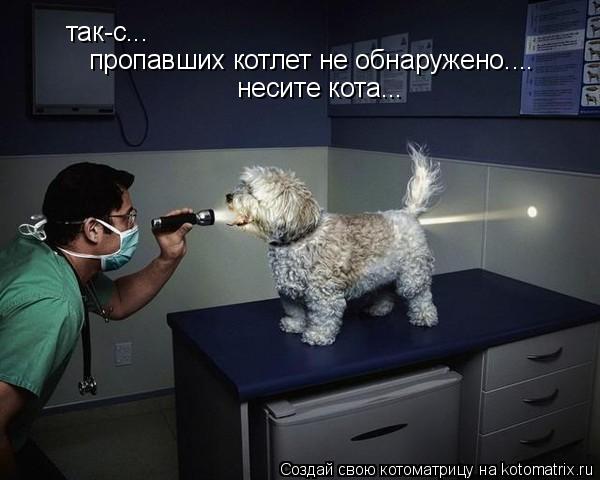 Котоматрица: так-с... пропавших котлет не обнаружено.... несите кота...
