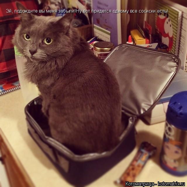 Котоматрица: Эй, подождите вы меня забыли!Ну вот придется одному все сосиски есть!