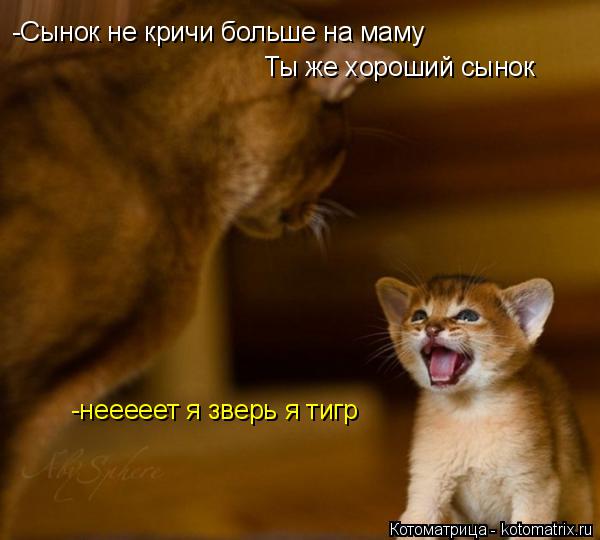 Котоматрица: -Сынок не кричи больше на маму Ты же хороший сынок -нееееет я зверь я тигр