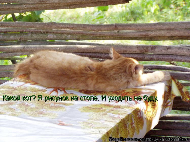 Котоматрица: Какой кот? Я рисунок на столе. И уходить не буду.