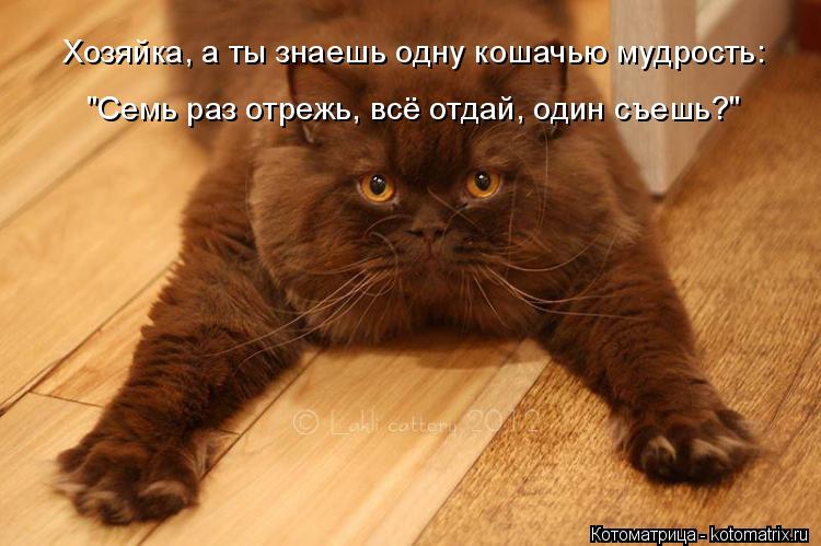 Котоматрица: Хозяйка, а ты знаешь одну кошачью мудрость:  "Семь раз отрежь, всё отдай, один съешь?"