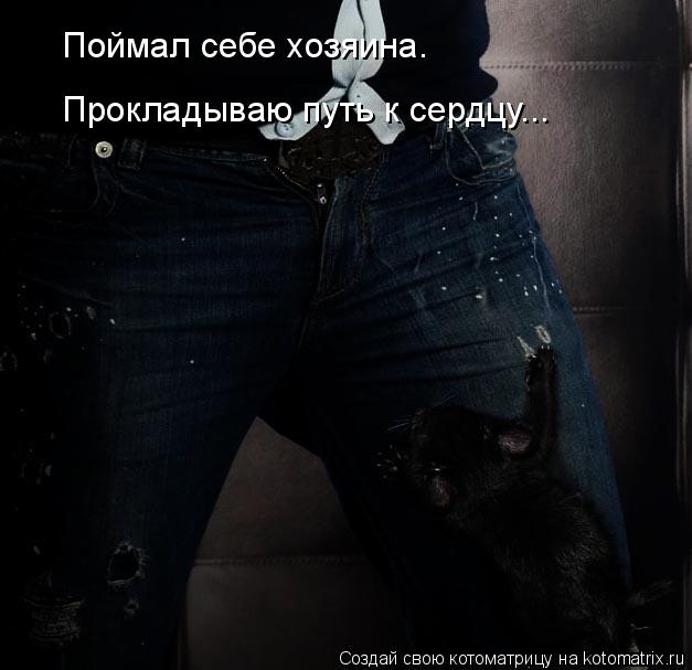 Котоматрица: Поймал себе хозяина. Прокладываю путь к сердцу...