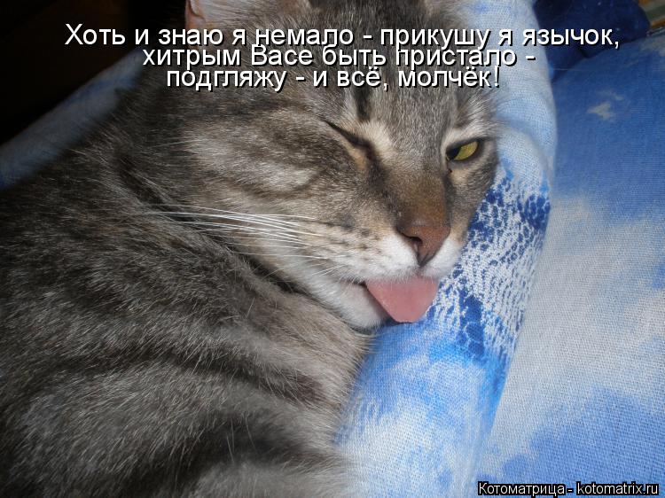 Котоматрица: подгляжу - и всё, молчёк! хитрым Васе быть пристало - Хоть и знаю я немало - прикушу я язычок,