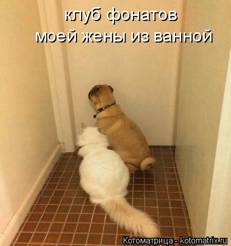 клуб фонатов моей жены из ванной... Котоматрица: клуб фонатов моей жены из ванной
