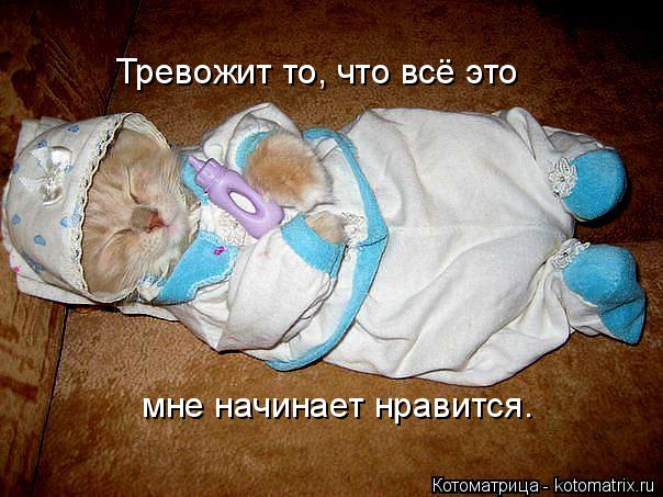 Тревожит то, что всё это мне начинает нравится.... Котоматрица: Тревожит то, что всё это мне начинает нравится.