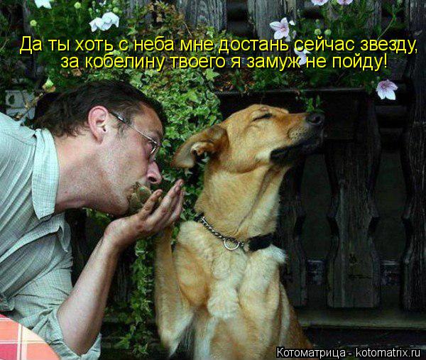 Да ты хоть с неба мне достань сейчас звезду, за кобелину твоего я замуж не пойду!... Котоматрица: Да ты хоть с неба мне достань сейчас звезду, за кобелину твоего я замуж не пойду!