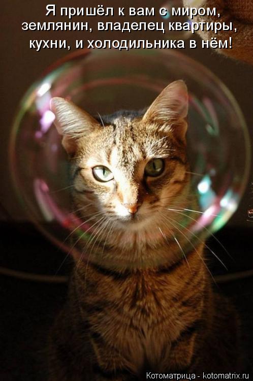Котоматрица: Я пришёл к вам с миром, землянин, владелец квартиры,  кухни, и холодильника в нём!