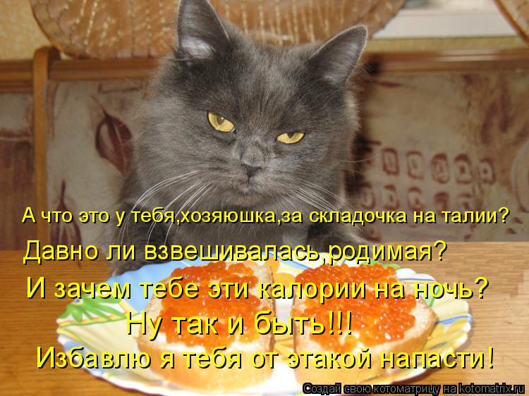 А что это у тебя,хозяюшка,за складочка на талии? Давно ли взвешивалась,родимая? И зачем тебе эти кало... Котоматрица: А что это у тебя,хозяюшка,за складочка на талии? Давно ли взвешивалась,родимая? И зачем тебе эти калории на ночь? Ну так и быть!!! Избавлю я теб
