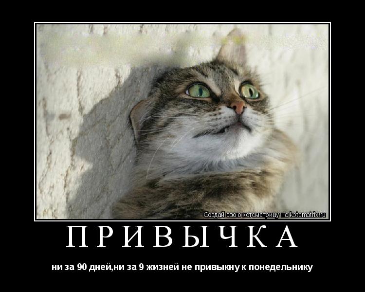 ПРИВЫЧКА ни за 90 дней,ни за 9 жизней не привыкну к понедельнику... Котоматрица: ПРИВЫЧКА ни за 90 дней,ни за 9 жизней не привыкну к понедельнику