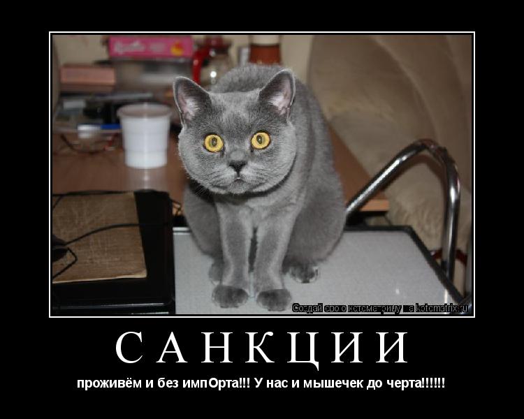 Котоматрица:  САНКЦИИ проживём и без импОрта!!! У нас и мышечек до черта!!!!!!