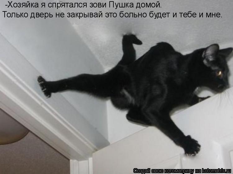 -Хозяйка я спрятался зови Пушка домой. Только дверь не закрывай это больно будет и тебе и мне.... Котоматрица: -Хозяйка я спрятался зови Пушка домой. Только дверь не закрывай это больно будет и тебе и мне.