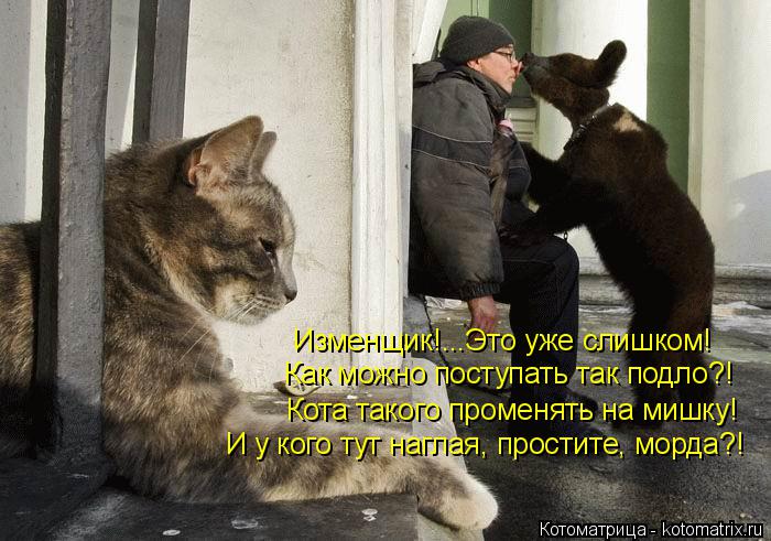 Котоматрица: Изменщик!...Это уже слишком! Как можно поступать так подло?! Кота такого променять на мишку! И у кого тут наглая, простите, морда?!