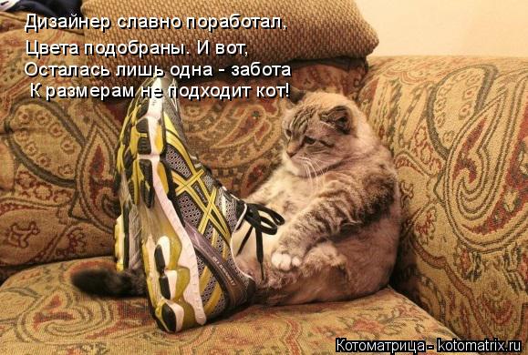 Дизайнер славно поработал, Цвета подобраны. И вот, Осталась лишь одна - забота К размерам не подходит... Котоматрица: Дизайнер славно поработал, Цвета подобраны. И вот, Осталась лишь одна - забота К размерам не подходит кот!