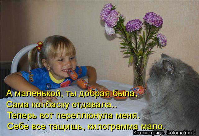 Котоматрица: А маленькой, ты добрая была, Сама колбаску отдавала.. Теперь вот переплюнула меня. Себе все тащишь, килограмма мало.