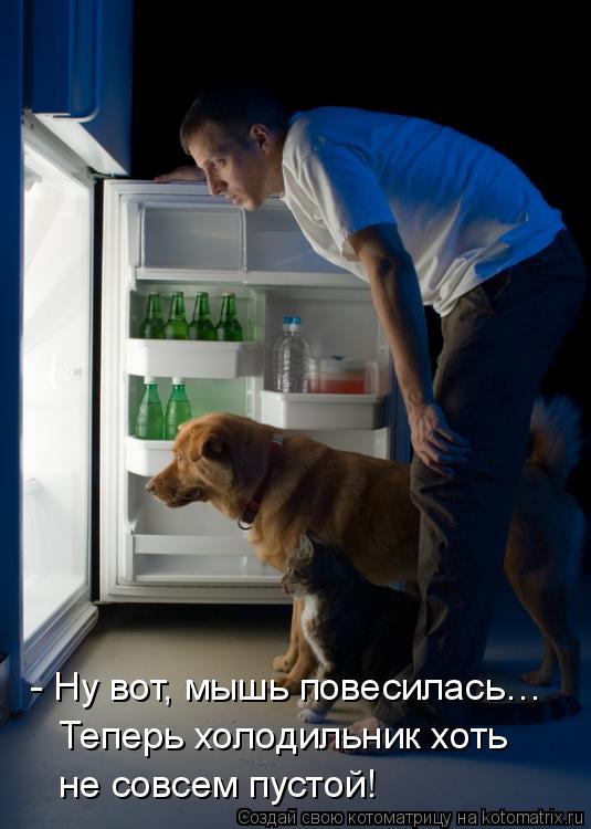 - Ну вот, мышь повесилась… Теперь холодильник хоть не совсем пустой!... Котоматрица: - Ну вот, мышь повесилась… Теперь холодильник хоть не совсем пустой!