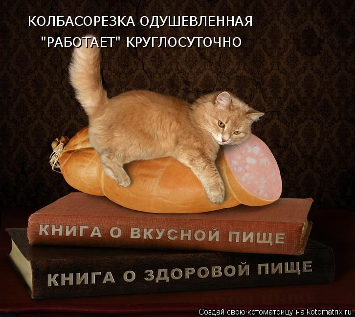 Котоматрица: КОЛБАСОРЕЗКА ОДУШЕВЛЕННАЯ "РАБОТАЕТ" КРУГЛОСУТОЧНО